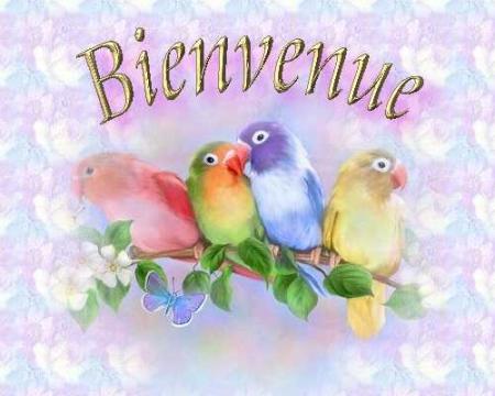 bienvenue a tous.