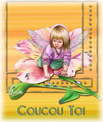 n'oublie pas ton commentaire lolllll