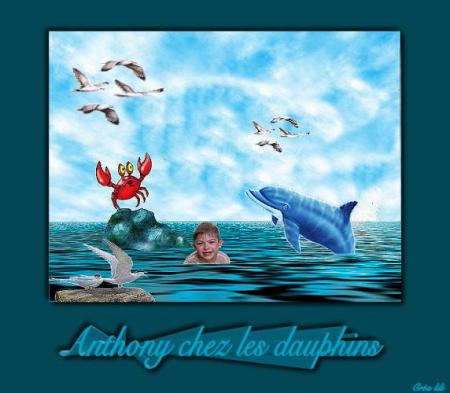 montage fais par ma lili.