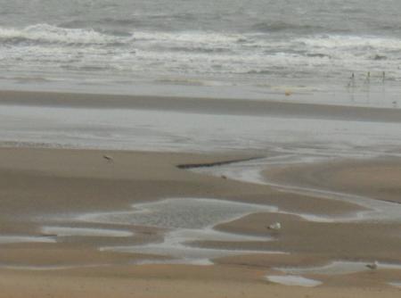 oceane a la mer avec l'ecole le 02/05-03/05-04/05/2007