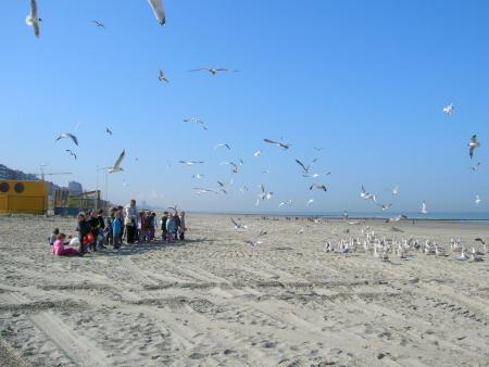 voyage a la mer avec l'ecole mars 2007