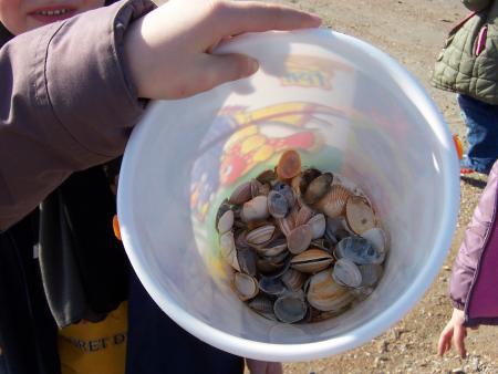 voyage a la mer avec l'ecole mars 2007