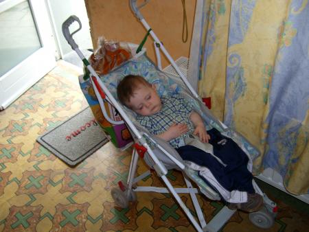 voici le loulou qui c'etais endormi en promenade.