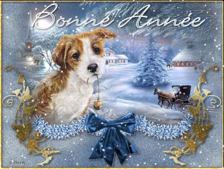 bonne annee a vous tous mes amis