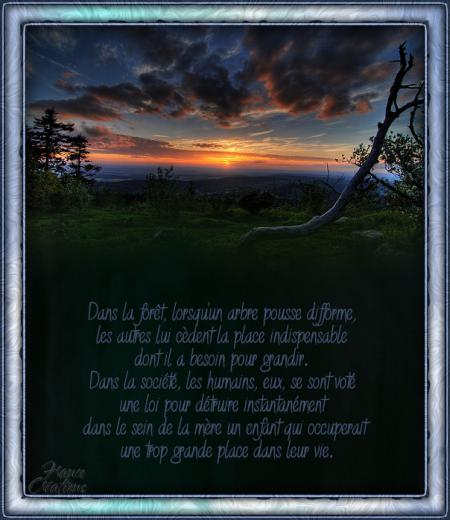 j'aime beaucoup se poeme